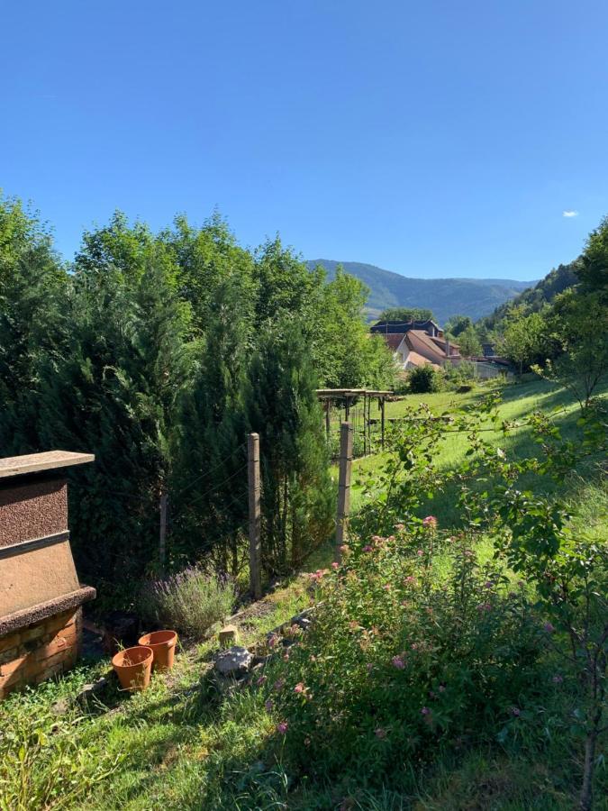 Chalet rustique, 3pièces, jusqu'à 6 personnes Urbès Exterior foto